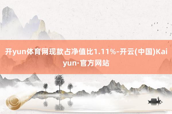 开yun体育网现款占净值比1.11%-开云(中国)Kaiyun·官方网站