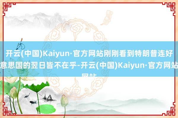 开云(中国)Kaiyun·官方网站刚刚看到特朗普连好意思国的翌日皆不在乎-开云(中国)Kaiyun·官方网站