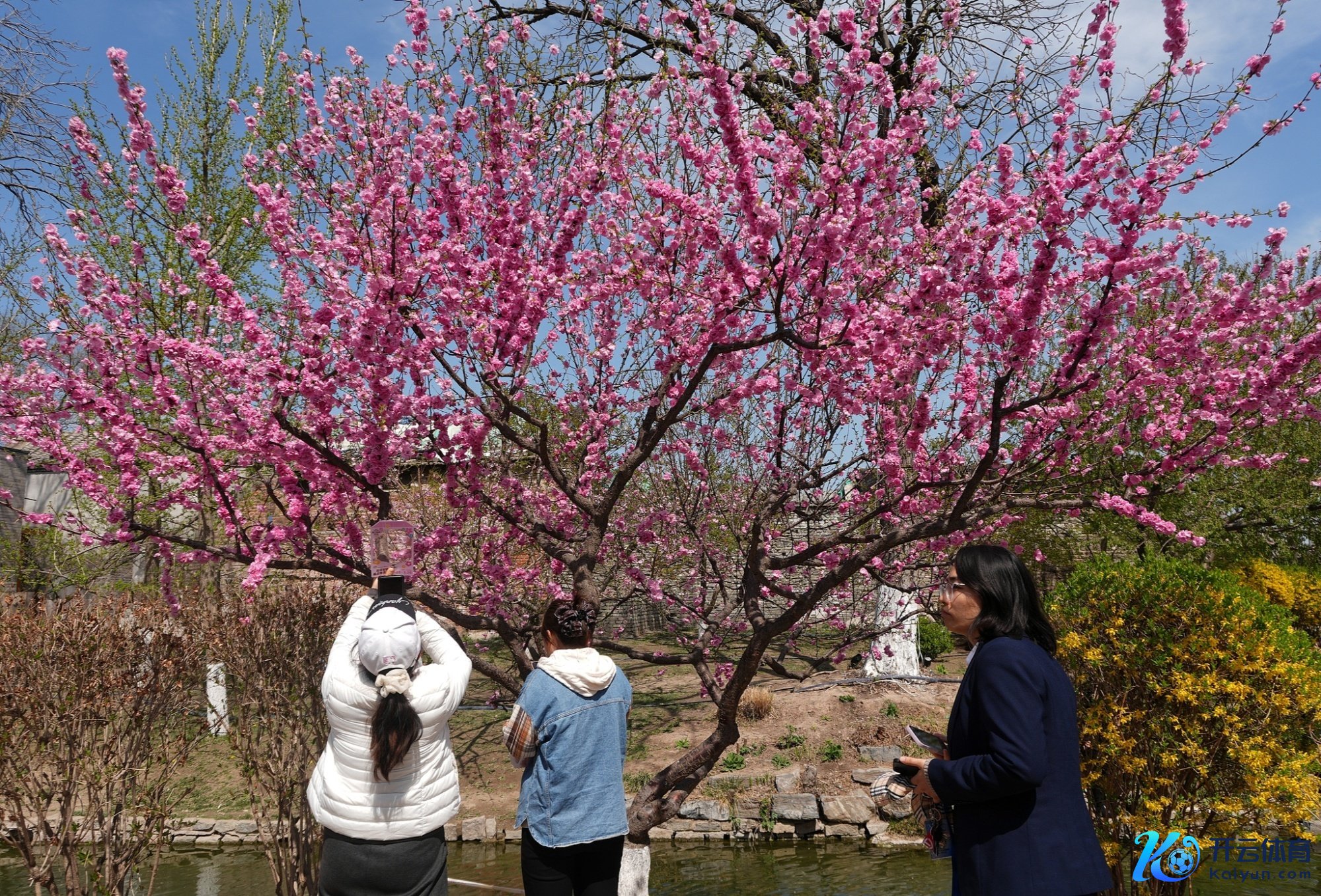 北京：市民在三里河公园打卡眷顾（图片开始CFP）