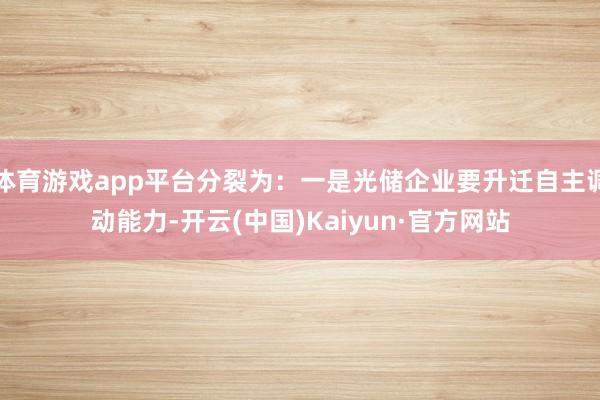 体育游戏app平台分裂为：一是光储企业要升迁自主调动能力-开云(中国)Kaiyun·官方网站