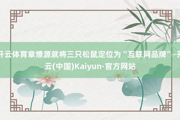 开云体育章燎源就将三只松鼠定位为“互联网品牌”-开云(中国)Kaiyun·官方网站
