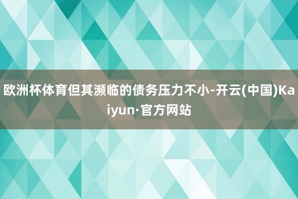欧洲杯体育但其濒临的债务压力不小-开云(中国)Kaiyun·官方网站
