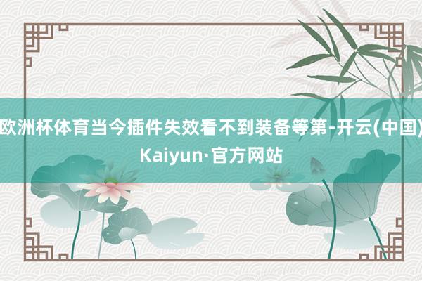 欧洲杯体育当今插件失效看不到装备等第-开云(中国)Kaiyun·官方网站
