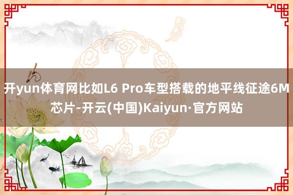 开yun体育网比如L6 Pro车型搭载的地平线征途6M芯片-开云(中国)Kaiyun·官方网站