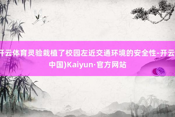 开云体育灵验栽植了校园左近交通环境的安全性-开云(中国)Kaiyun·官方网站