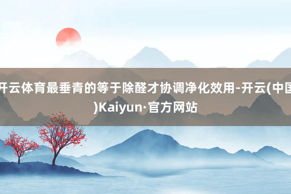 开云体育最垂青的等于除醛才协调净化效用-开云(中国)Kaiyun·官方网站