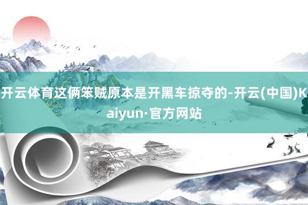 开云体育这俩笨贼原本是开黑车掠夺的-开云(中国)Kaiyun·官方网站