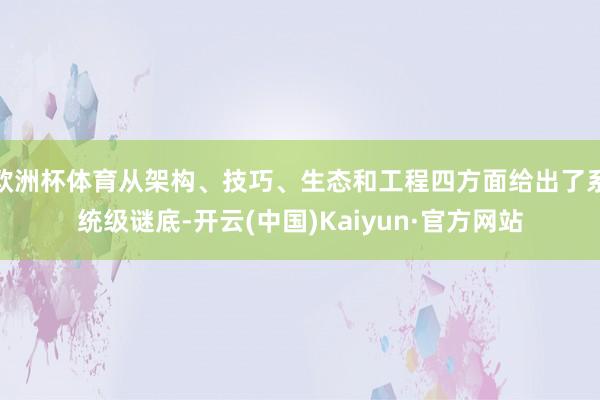 欧洲杯体育从架构、技巧、生态和工程四方面给出了系统级谜底-开云(中国)Kaiyun·官方网站