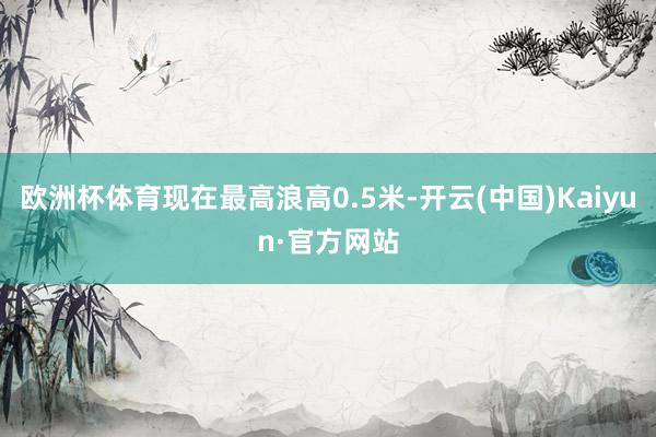欧洲杯体育现在最高浪高0.5米-开云(中国)Kaiyun·官方网站
