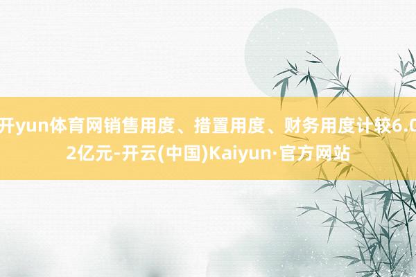 开yun体育网销售用度、措置用度、财务用度计较6.02亿元-开云(中国)Kaiyun·官方网站